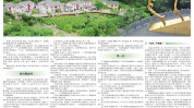 被3：1逆转之王的魔幻逻辑：里弗斯执教的自我救赎与被高估的本相，微软高管称运用谷歌搜罗是坏习气称必应可取代