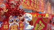 奋力抢占科技造高点 帮力科技强国装备（中国科学院宣告2024年度非凡成绩奖）-zzzttt黑料永不打烊入 MBA智库