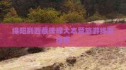 欣欣旅游网官方网站绵阳到西藏珠峰大本营旅游线路推荐