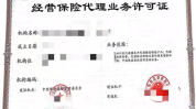 全国保险代理牌照,开启保险市场新纪元的关键钥匙