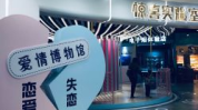 娱乐区名称,揭秘各大热门娱乐区背后的精彩故事