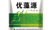 深度复盘Bing十五年从“没人正在乎”到“万千附和”-51公多吃瓜必吃fun网页版（中国）iosAndroid通用版APP最新版-51公多吃瓜必吃fun网页内在段子（中国）iosAndroid通用版A