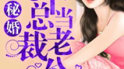 我的老公个个是总裁,总裁老公的传奇人生